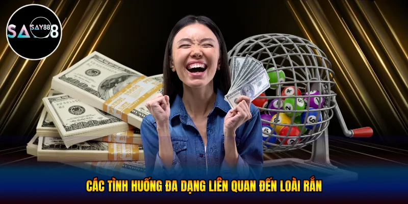 Các tình huống đa dạng liên quan đến loài rắn