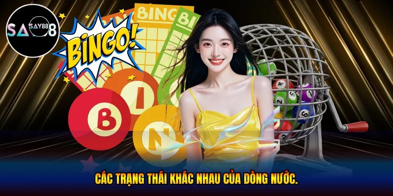 Các trạng thái khác nhau của dòng nước.