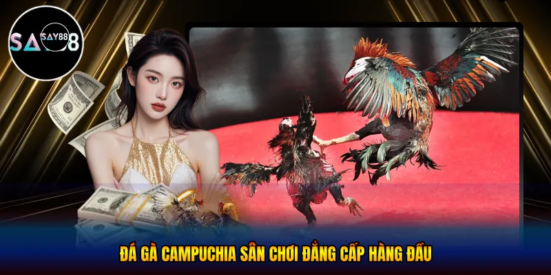 Đá gà campuchia - Sân Chơi Đẳng Cấp Hàng Đầu