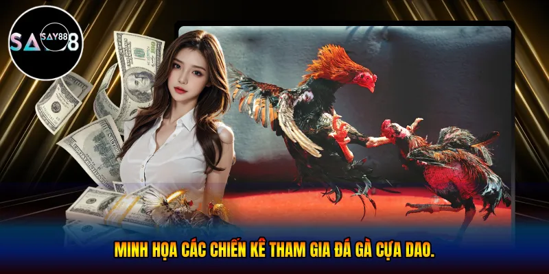 Các chiến kê tham gia đá gà cựa dao