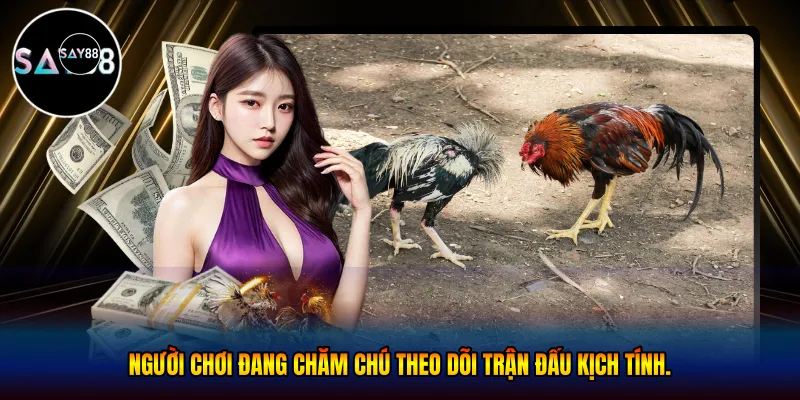 Người chơi đang chăm chú theo dõi trận đấu kịch tính.