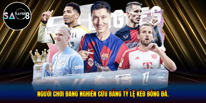 Người chơi đang nghiên cứu bảng tỷ lệ kèo bóng đá.