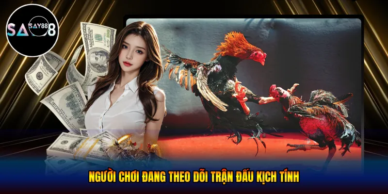  Người chơi đang theo dõi trận đấu kịch tính